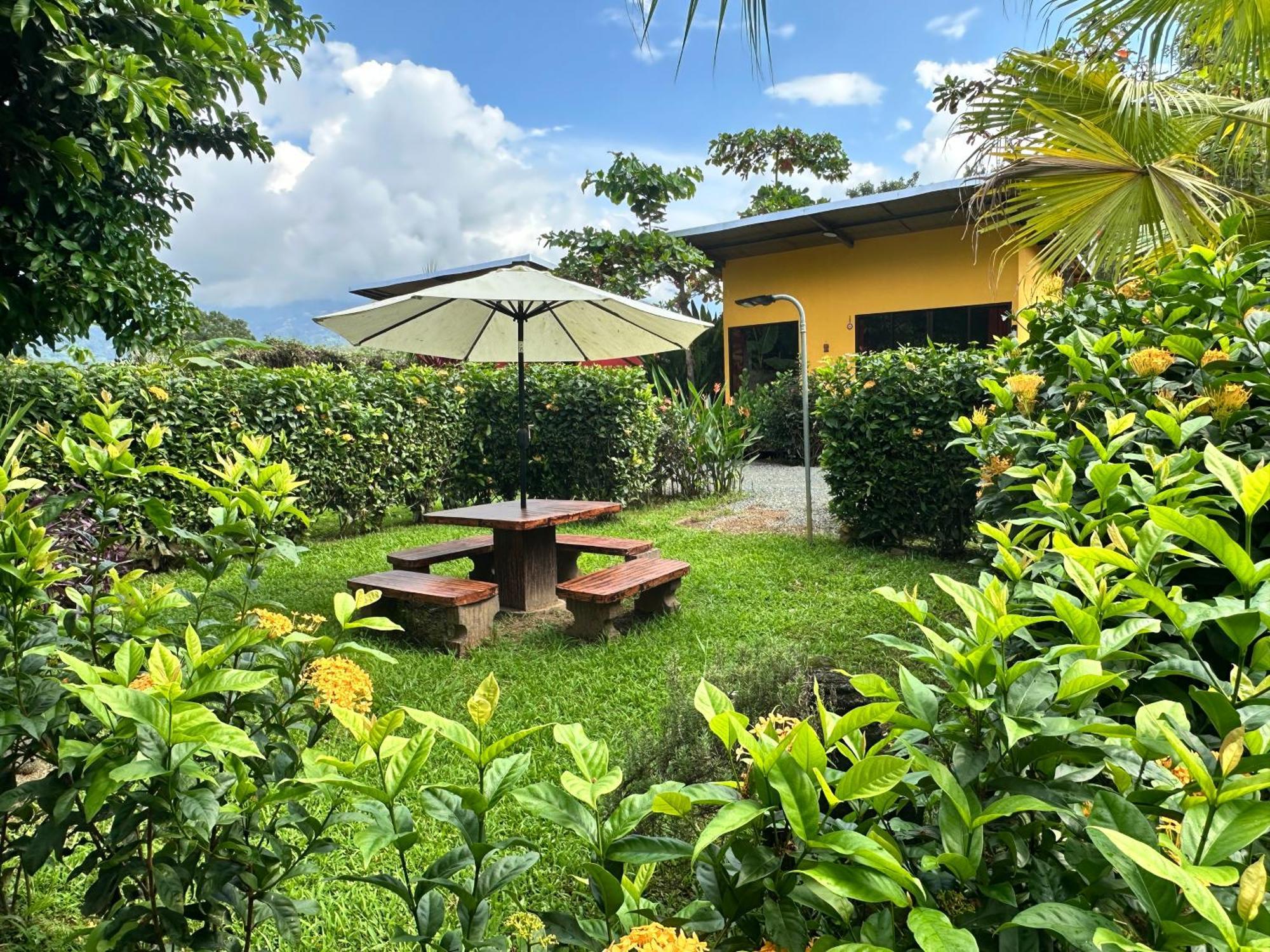 Uvita Oasis Retreat With Villa Cabins And Apartment Exterior foto