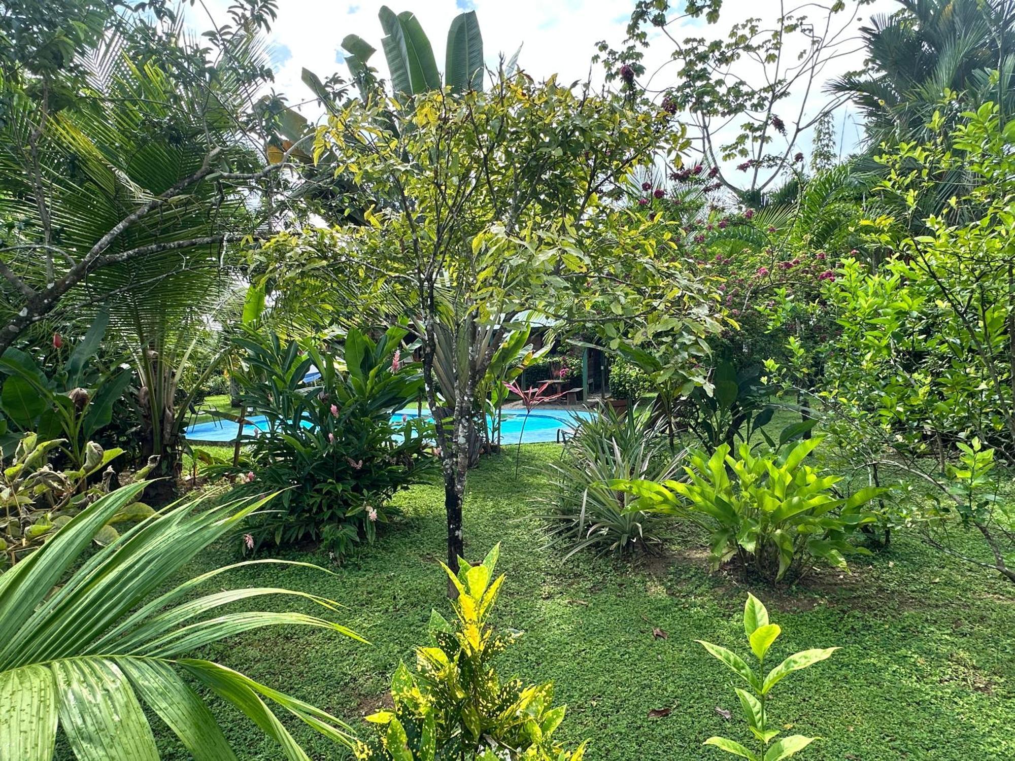 Uvita Oasis Retreat With Villa Cabins And Apartment Exterior foto